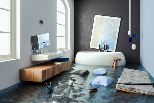 Best Mold removal after water damage  in Constantine, MI