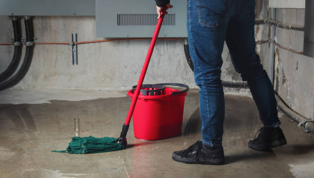 Best Water damage restoration near me  in Constantine, MI
