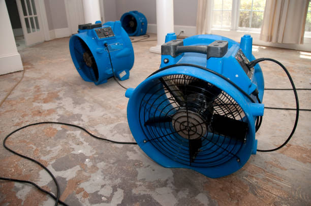 Best Commercial water damage restoration  in Constantine, MI