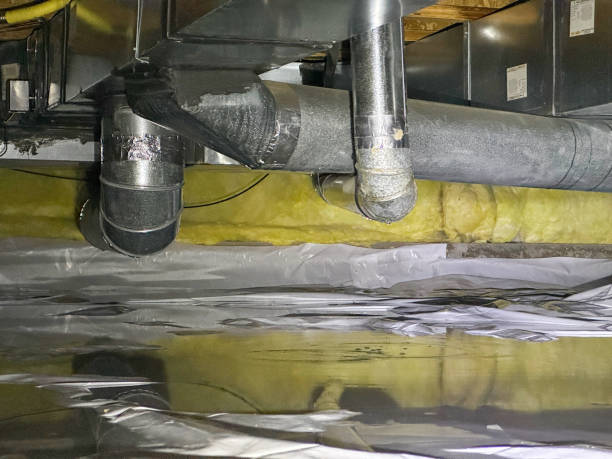 Best Sewage cleanup and water damage restoration  in Constantine, MI