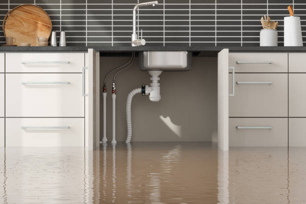 Best Flooded house restoration  in Constantine, MI